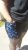 Pocket Not So Short and Sweet 5″ inseam long shorts/regular waist